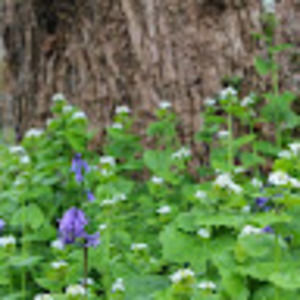 Meet your Posher, Patty